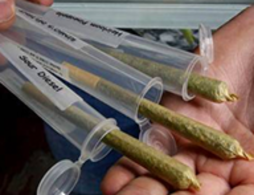Stay lifted on smokable medical marijuana